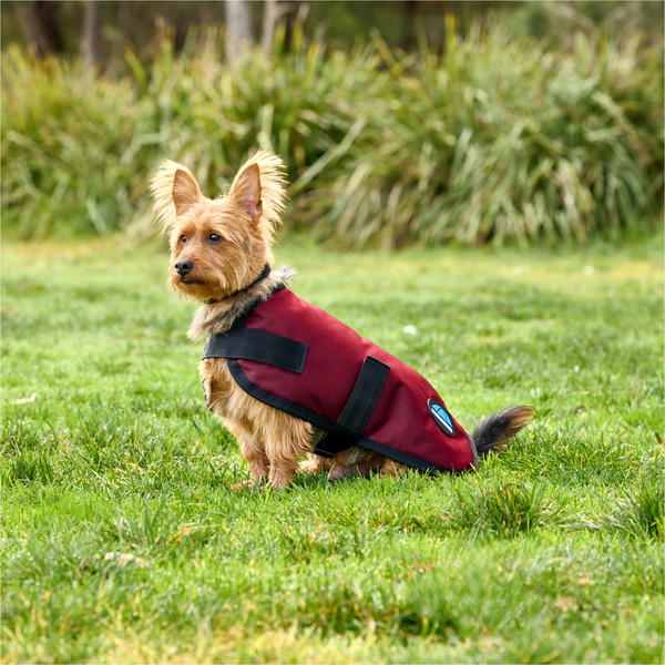 2025 Weatherbeeta Comfitec Classic Waterproof Dog Coat 1029048 - Burgundy